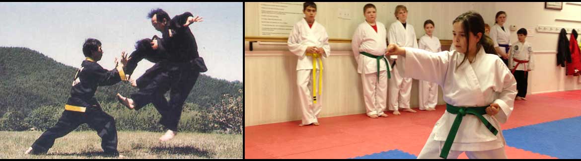 hapkido